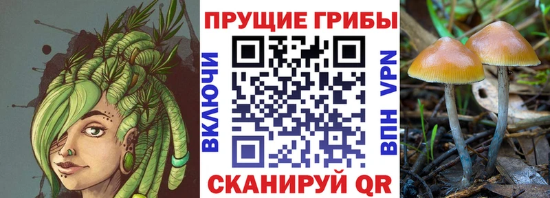 Галлюциногенные грибы мицелий  Фурманов 